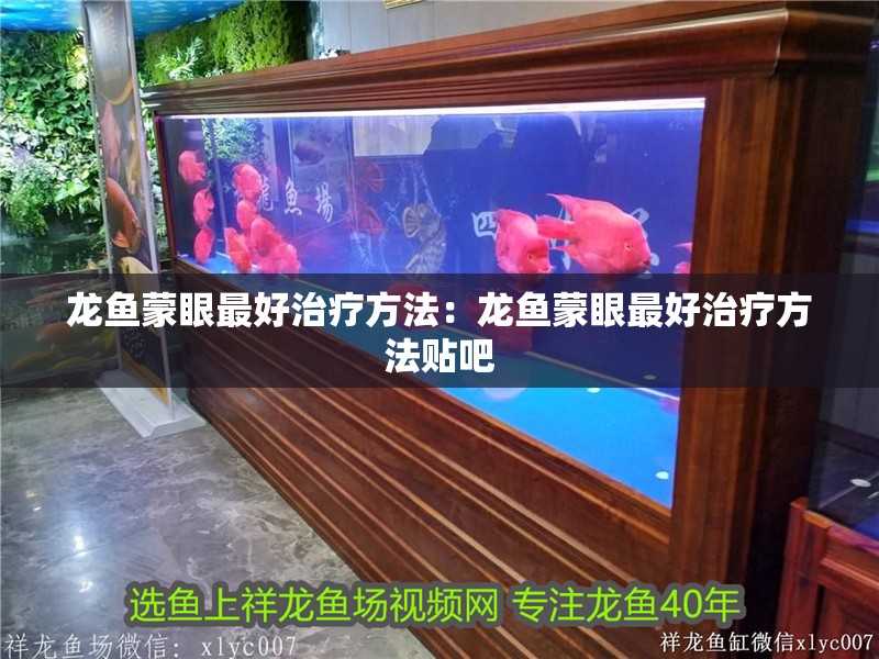 龍魚蒙眼最好治療方法：龍魚蒙眼最好治療方法貼吧