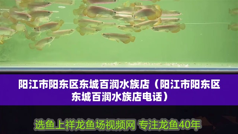 陽江市陽東區東城百潤水族店（陽江市陽東區東城百潤水族店電話）