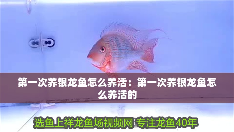 附近哪里有賣魚缸加熱棒的店（附近哪里有賣魚缸加熱棒的店鋪） 附近哪里有賣魚缸加熱棒的店（附近哪里有賣魚缸加熱棒的店鋪） 魚缸百科