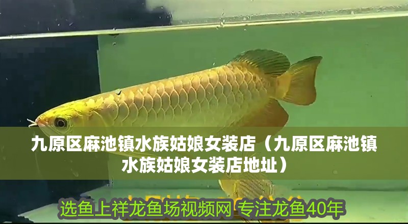 九原區麻池鎮水族姑娘女裝店（九原區麻池鎮水族姑娘女裝店地址）