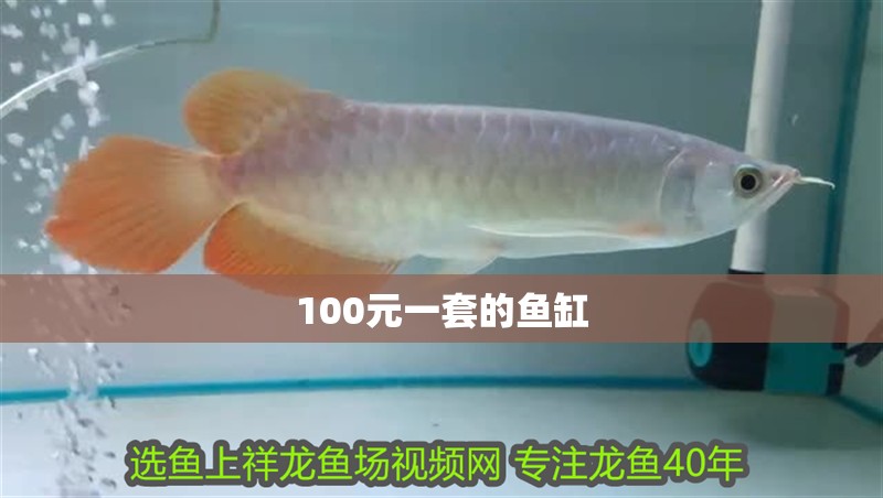 100元一套的魚缸