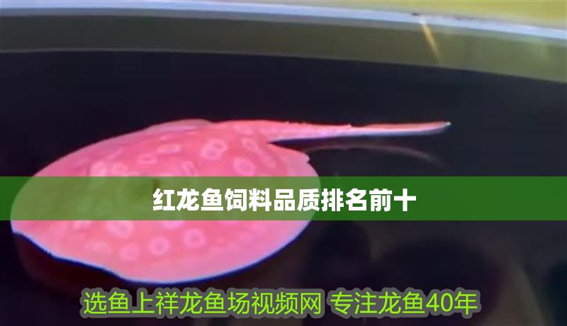 紅龍魚飼料品質(zhì)排名前十