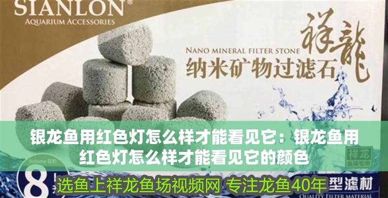 銀龍魚用紅色燈怎么樣才能看見它：銀龍魚用紅色燈怎么樣才能看見它的顏色