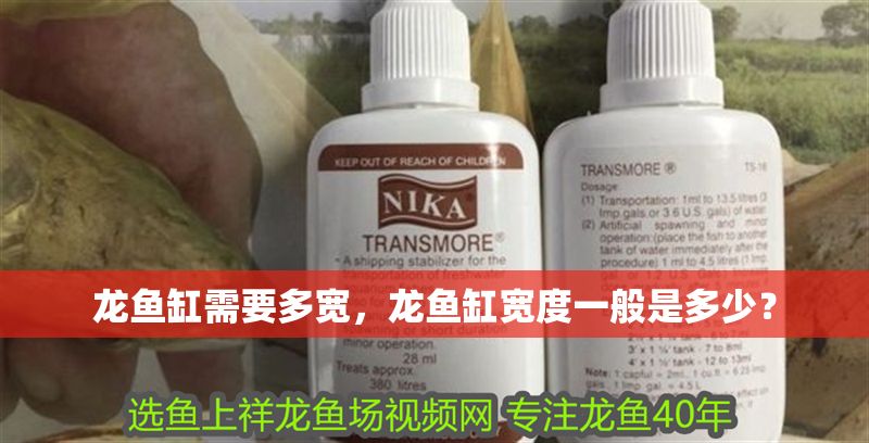 龍魚缸需要多寬，龍魚缸寬度一般是多少？