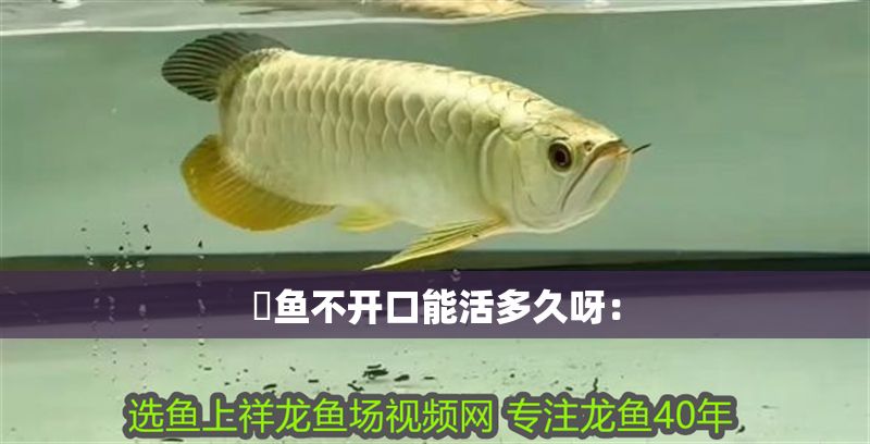 魟魚不開口能活多久呀：