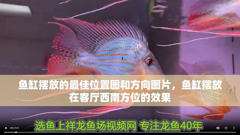魚缸擺放的最佳位置圖和方向圖片，魚缸擺放在客廳西南方位的效果 魚缸擺放的最佳位置圖和方向圖片，魚缸擺放在客廳西南方位的效果 魚缸百科 第2張
