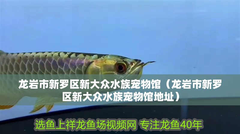 龍巖市新羅區新大眾水族寵物館（龍巖市新羅區新大眾水族寵物館地址） 龍巖市新羅區新大眾水族寵物館（龍巖市新羅區新大眾水族寵物館地址） 全國水族館企業名錄 第1張