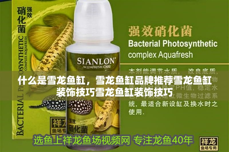 什么是雪龍魚缸，雪龍魚缸品牌推薦雪龍魚缸裝飾技巧雪龍魚缸裝飾技巧 什么是雪龍魚缸，雪龍魚缸品牌推薦雪龍魚缸裝飾技巧雪龍魚缸裝飾技巧 魚缸百科 第2張