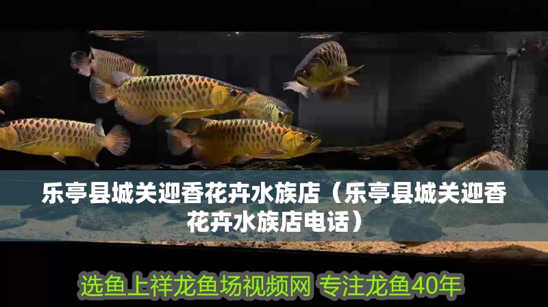 樂亭縣城關迎香花卉水族店（樂亭縣城關迎香花卉水族店電話）