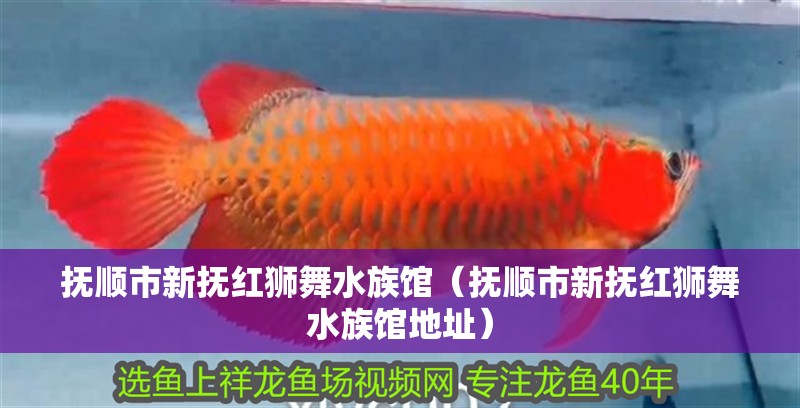 撫順市新?lián)峒t獅舞水族館（撫順市新?lián)峒t獅舞水族館地址）