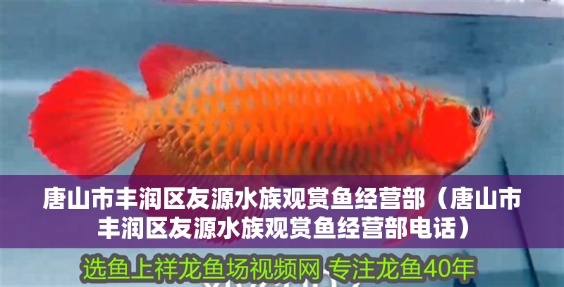 唐山市豐潤區友源水族觀賞魚經營部（唐山市豐潤區友源水族觀賞魚經營部電話）