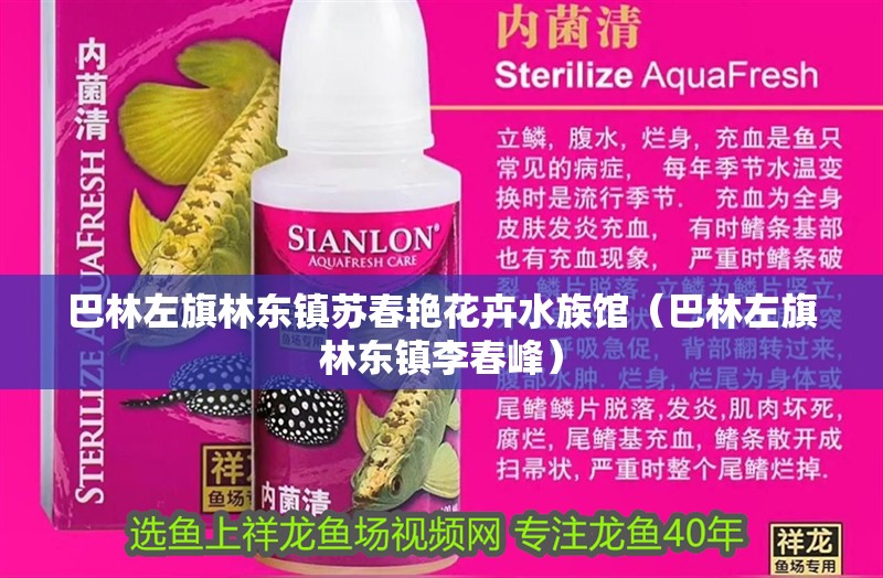 巴林左旗林東鎮蘇春艷花卉水族館（巴林左旗林東鎮李春峰） 巴林左旗林東鎮蘇春艷花卉水族館（巴林左旗林東鎮李春峰） 全國水族館企業名錄 第1張