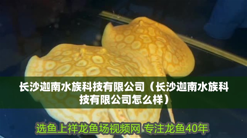 長沙迦南水族科技有限公司（長沙迦南水族科技有限公司怎么樣）