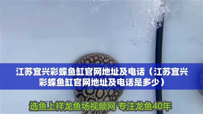 江蘇宜興彩蝶魚缸官網(wǎng)地址及電話（江蘇宜興彩蝶魚缸官網(wǎng)地址及電話是多少）