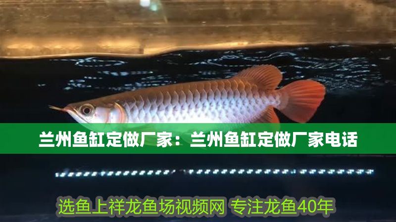 蘭州魚缸定做廠家：蘭州魚缸定做廠家電話 蘭州魚缸定做廠家：蘭州魚缸定做廠家電話 元寶鳳凰魚百科 第1張