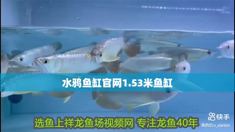 水鴉魚缸官網1.53米魚缸