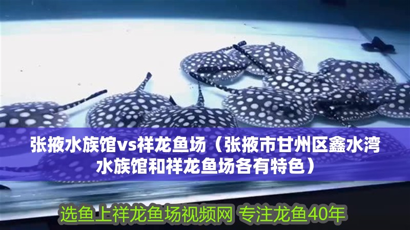 張掖水族館vs祥龍魚場（張掖市甘州區鑫水灣水族館和祥龍魚場各有特色）