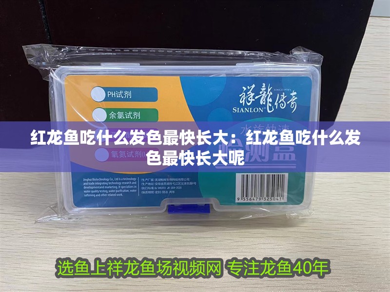 紅龍魚吃什么發(fā)色最快長大：紅龍魚吃什么發(fā)色最快長大呢