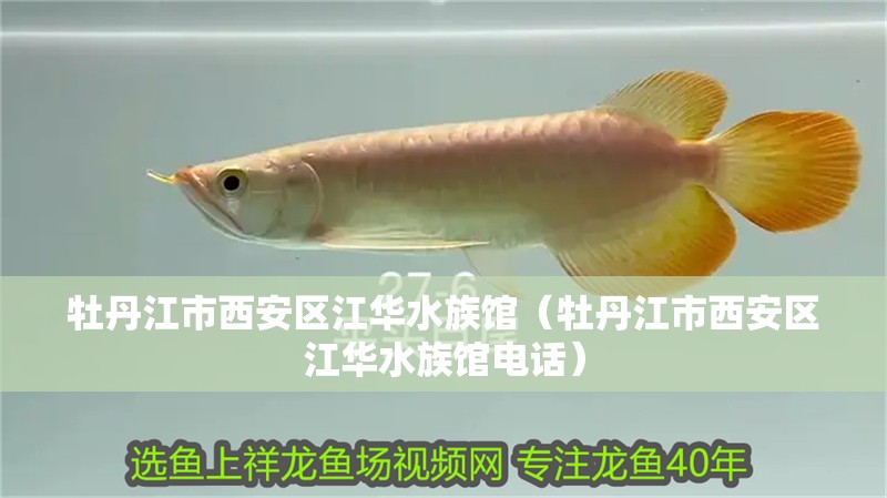牡丹江市西安區江華水族館（牡丹江市西安區江華水族館電話）
