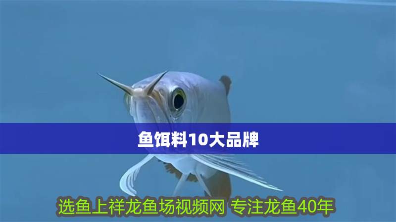 魚餌料10大品牌 龍魚百科 第1張 魚餌料10大品牌 魚餌料10大品牌 龍魚百科 第1張