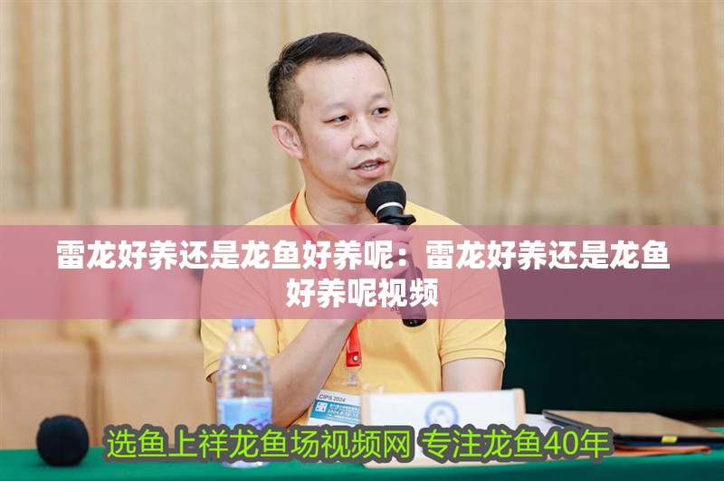 雷龍好養還是龍魚好養呢：雷龍好養還是龍魚好養呢視頻
