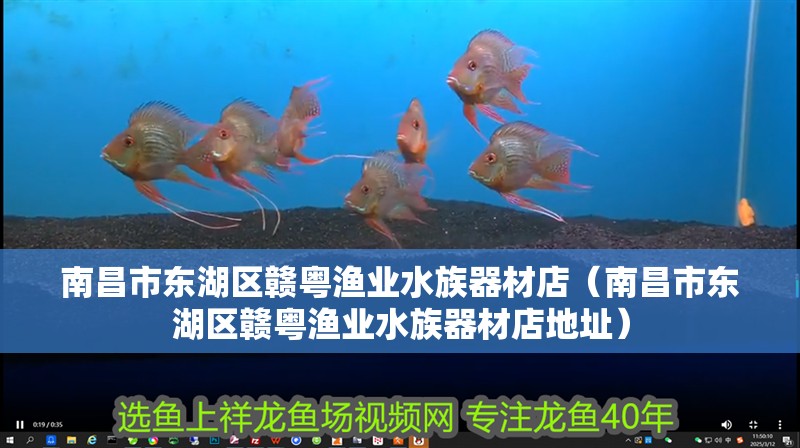 南昌市東湖區(qū)贛粵漁業(yè)水族器材店（南昌市東湖區(qū)贛粵漁業(yè)水族器材店地址）