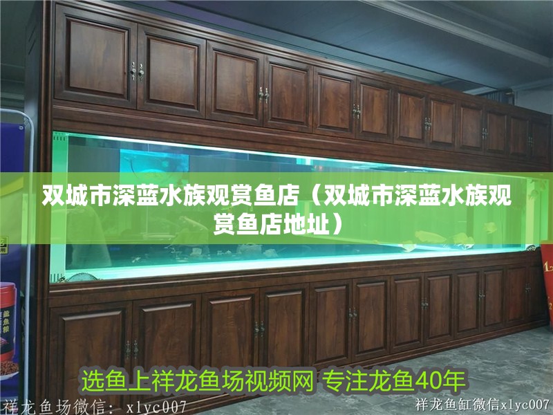 雙城市深藍水族觀賞魚店（雙城市深藍水族觀賞魚店地址）