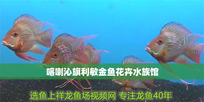 喀喇沁旗利敏金魚花卉水族館