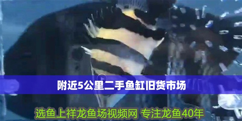 附近5公里二手魚缸舊貨市場