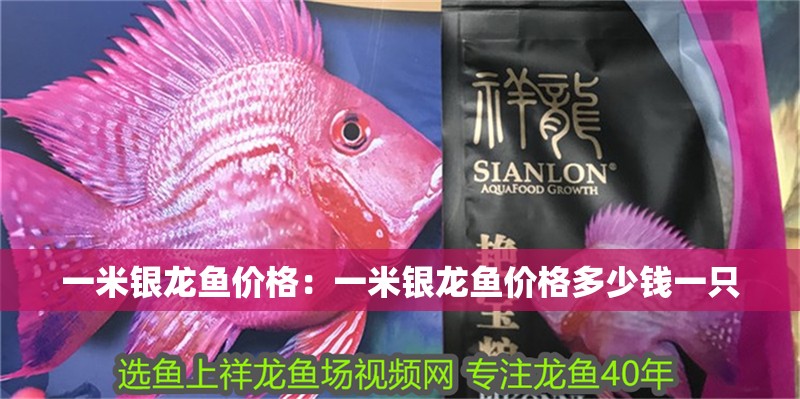 一米銀龍魚價格：一米銀龍魚價格多少錢一只