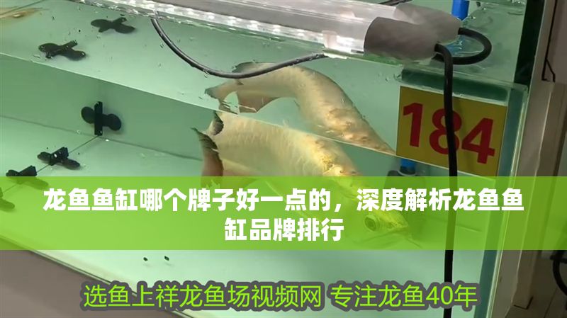 龍魚魚缸哪個牌子好一點的，深度解析龍魚魚缸品牌排行 龍魚魚缸哪個牌子好一點的，深度解析龍魚魚缸品牌排行 魚缸百科 第2張