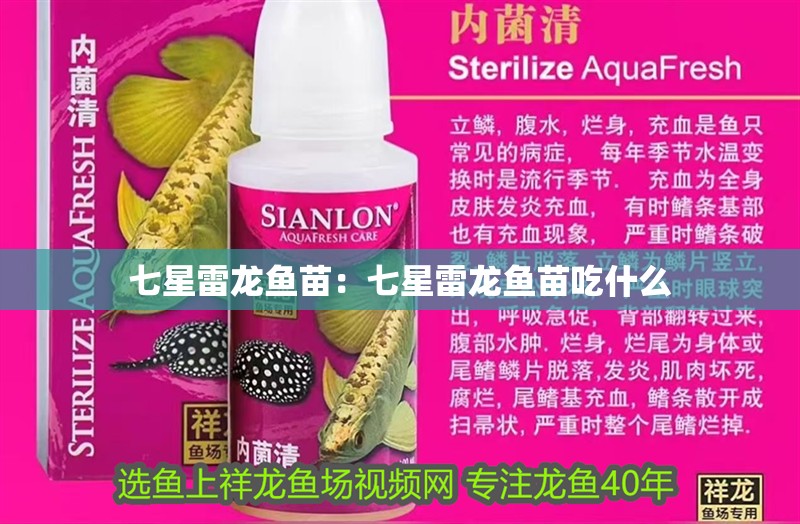 七星雷龍魚苗：七星雷龍魚苗吃什么