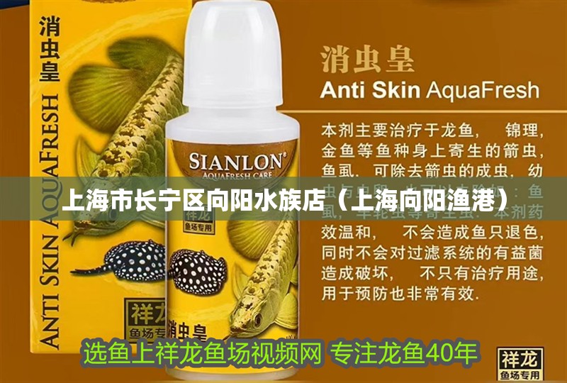 上海市長寧區(qū)向陽水族店（上海向陽漁港）