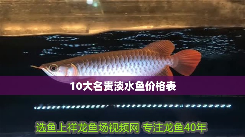 10大名貴淡水魚價格表