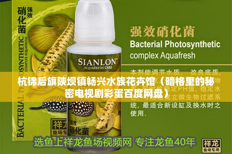 杭錦后旗陜壩鎮(zhèn)暢興水族花卉館（暗格里的秘密電視劇彩蛋百度網盤）