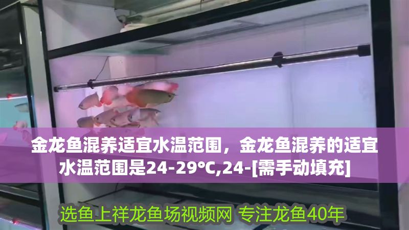 金龍魚混養適宜水溫范圍，金龍魚混養的適宜水溫范圍是24-29℃,24-[需手動填充]