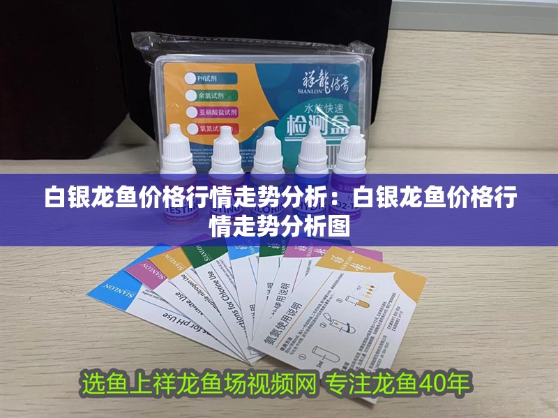 白銀龍魚價格行情走勢分析：白銀龍魚價格行情走勢分析圖 白銀龍魚價格行情走勢分析：白銀龍魚價格行情走勢分析圖 水族問答