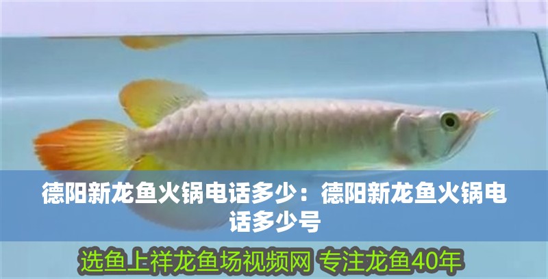 德陽新龍魚火鍋電話多少：德陽新龍魚火鍋電話多少號