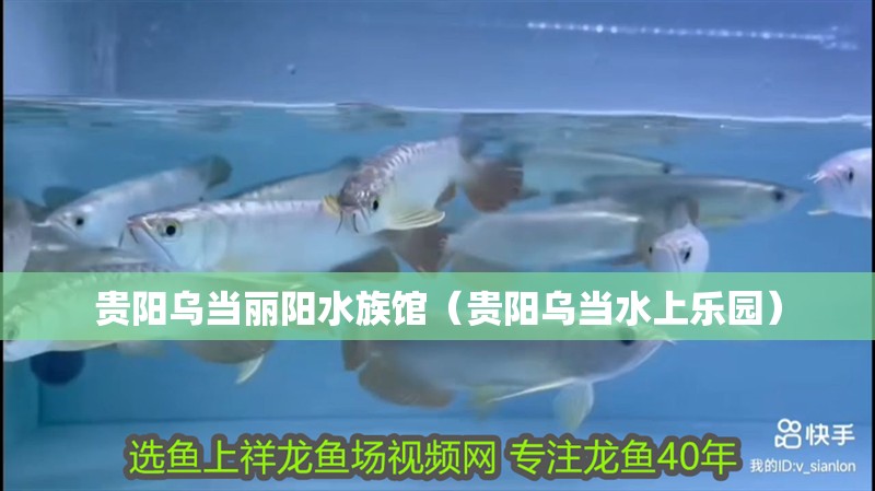 貴陽烏當麗陽水族館（貴陽烏當水上樂園） 貴陽烏當麗陽水族館（貴陽烏當水上樂園） 全國水族館企業(yè)名錄 第1張