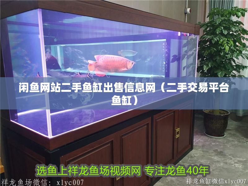 閑魚網站二手魚缸出售信息網（二手交易平臺魚缸）