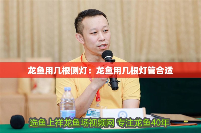 龍魚用幾根側燈：龍魚用幾根燈管合適 龍魚用幾根側燈：龍魚用幾根燈管合適 水族問答