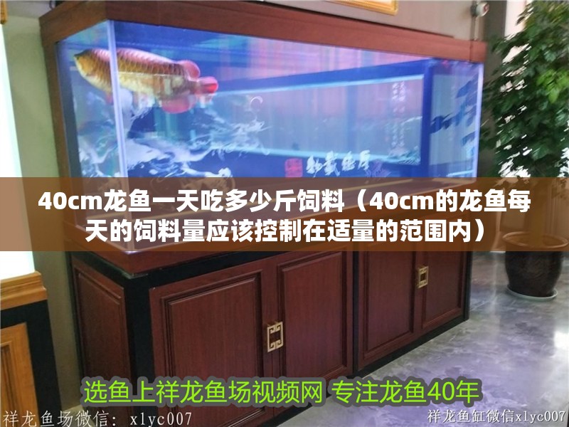 40cm龍魚一天吃多少斤飼料（40cm的龍魚每天的飼料量應該控制在適量的范圍內）