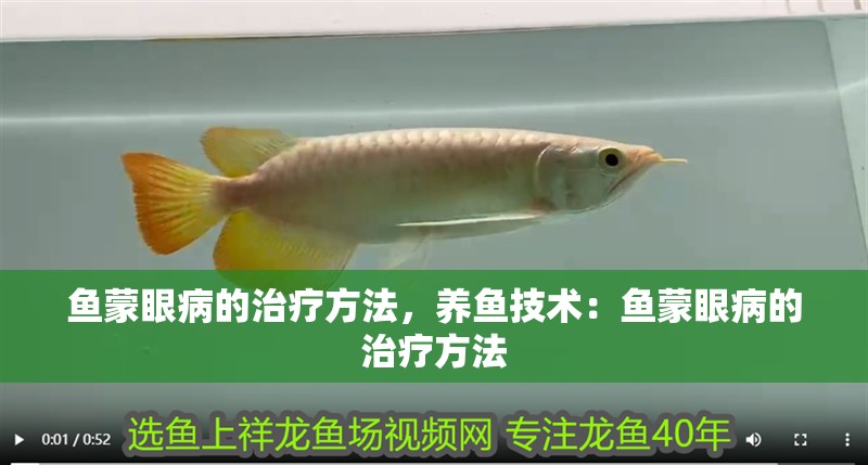 魚蒙眼病的治療方法，養魚技術：魚蒙眼病的治療方法