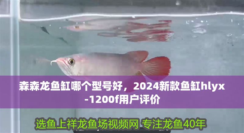 森森龍魚缸哪個型號好，2024新款魚缸hlyx-1200f用戶評價 森森龍魚缸哪個型號好，2024新款魚缸hlyx-1200f用戶評價 魚缸百科 第2張