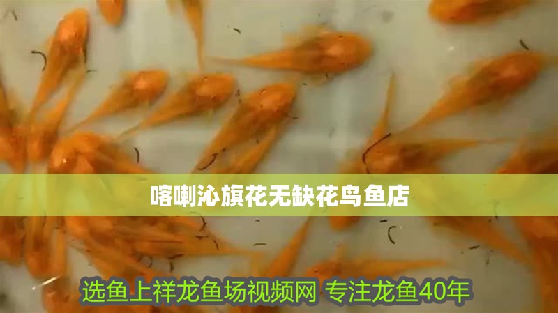 喀喇沁旗花無缺花鳥魚店