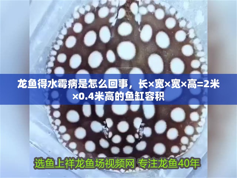 龍魚得水霉病是怎么回事，長×寬×寬×高=2米×0.4米高的魚缸容積