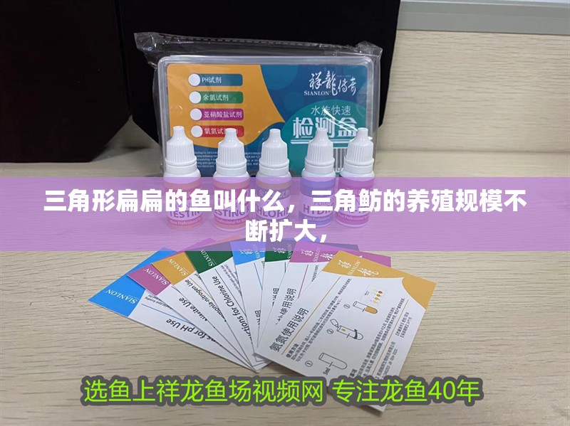 三角形扁扁的魚叫什么，三角魴的養(yǎng)殖規(guī)模不斷擴(kuò)大， 三角形扁扁的魚叫什么，三角魴的養(yǎng)殖規(guī)模不斷擴(kuò)大， 龍魚論壇