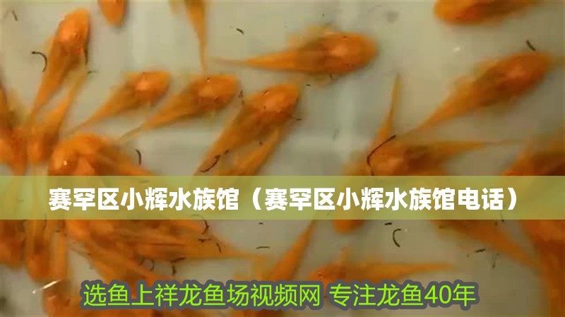 賽罕區小輝水族館（賽罕區小輝水族館電話）