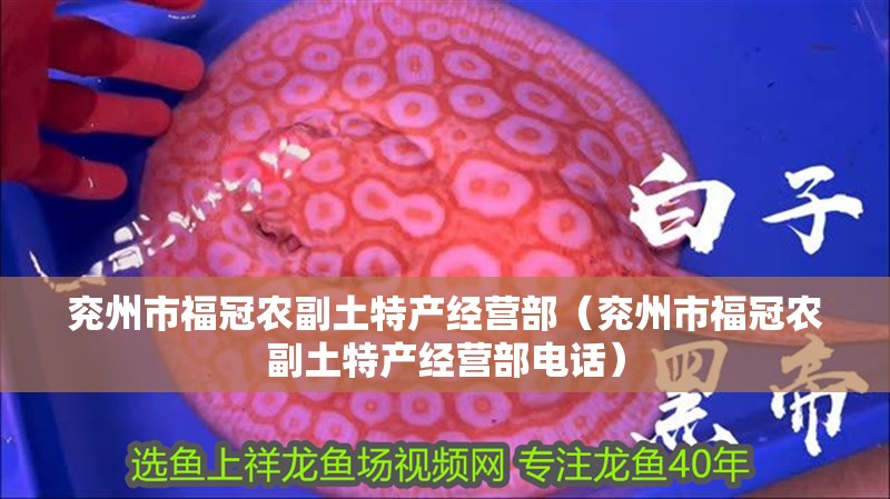 兗州市福冠農副土特產經營部（兗州市福冠農副土特產經營部電話）