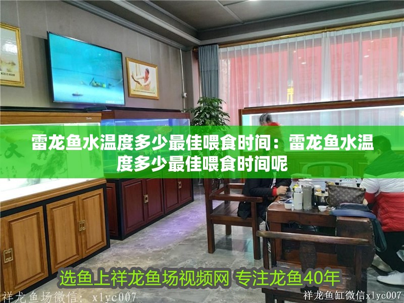 雷龍魚水溫度多少最佳喂食時間：雷龍魚水溫度多少最佳喂食時間呢 雷龍魚水溫度多少最佳喂食時間：雷龍魚水溫度多少最佳喂食時間呢 水族問答